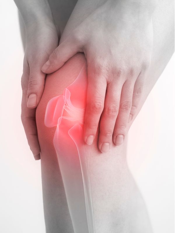 Knee Support